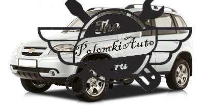 Лампы, применяемые в автомобиле Шевроле Нива - автомануал заказ автокниг с доставкой в любую точку мира Лампы, применяемые в автомобиле Шевроле Нива - автомануал заказ автокниг с доставкой в любую точку мира
